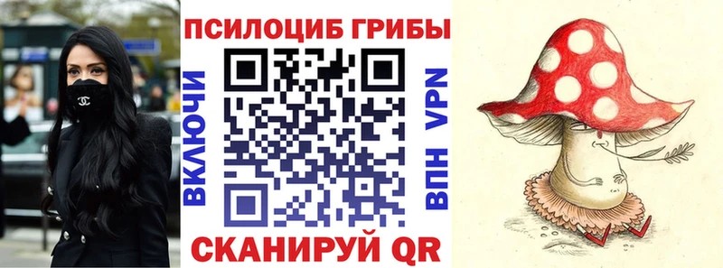 OMG как войти  купить   Лиски  Псилоцибиновые грибы MAGIC MUSHROOMS 